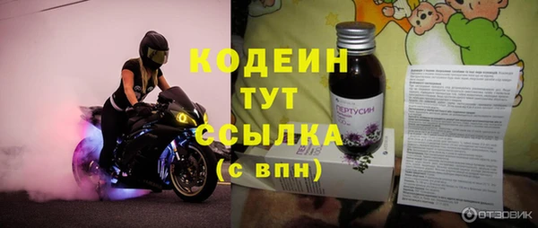 прущий лед Бородино