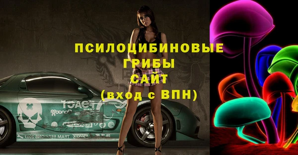 молекула духа Семикаракорск