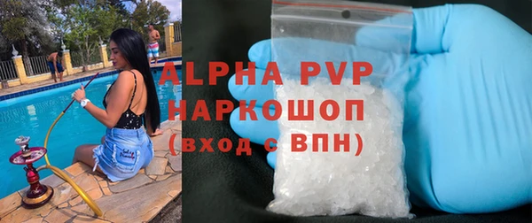 прущий лед Бородино