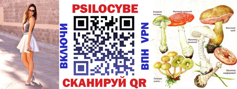 что такое   нарко площадка как зайти  Галлюциногенные грибы мицелий  Новосокольники 